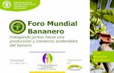 Presentación del FMB ante el VIII Foro Internacional del Banano; Guayaquill 2011