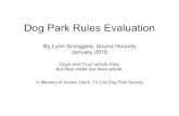 Sound Hounds' Dog Park Rules Evaluation