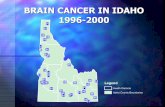 BRAIN CANCER IN IDAHO BRAIN CANCER IN IDAHO 1996 1996 ...