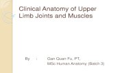 Seminar clinical anatomy of upper limb joints and muscles