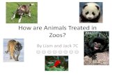 How are animals treated in zoos
