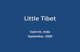 Little Tibet, Kashmir, India