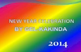 New year celebration 2014