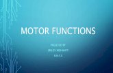 Motor functions