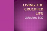 Sermon Living the Crucified Life Wordcomm