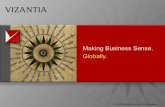 Vizantia Corporate Presentation 2010