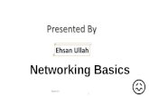 Networking basics PPT