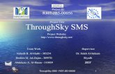 Throughsky SMS Porject Presentation