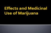 Effects and medicinal use of marijuana 2