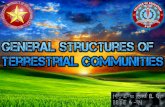 General structures of terrestrial communities