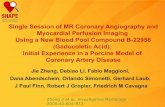 Single Session of MR Coronary Angiography and Myocardial ...