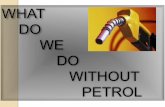 What do we do without petrol