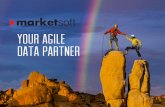 Marketsoft - Data Services