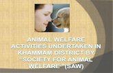 Animal welfare activities undertaken in khammam district by