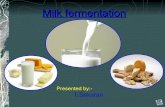 C:\fakepath\milk fermentation.sekaran