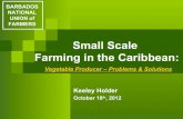 Keeley Holder - Vegetable Producer. Problems and Solutions.
