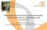 ISEV2014 - Introduction to EV biogenesis and secretion (C. Thery)