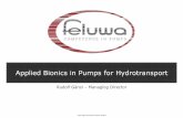 Feluwa applied bionics in pumps for hydrotranport & process