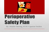 Perioperative Safety Plan