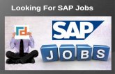 SAP Career Maker site