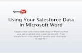 Using Your Salesforce Data in Microsoft Word