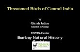 Threatened birds of_india