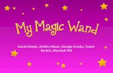 My Magic Wand