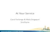 Cosa 2010  services presentation mala & carol