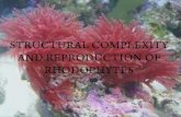 Structural complexity and reproduction of rhodophytes 423