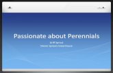 Passionate about perennials