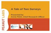 A Tale of Two Surveys: How using real words instead of mumbo jumbo affects survey data quality