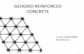 GEOGRIDS IN CONCRETE