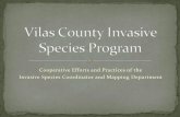 Vilas County Invasive Species Program