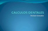 Calculos dentales