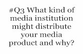 Q3 what kind of media institution might