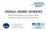 Small bore sewers - afd-pseau - World Water Week 2013 - Stockholm