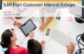 Fiori customer interest_groups