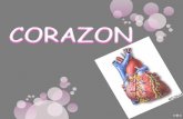 Corazon info