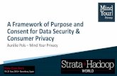 A Framework of Purpose and Consent for Data Security and Consumer Privacy