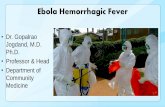 Ebola virus hf
