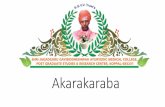 Akarakaraba-Anacyclus Pyrethrum