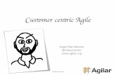Customer centric agile @ ACE! conference