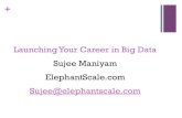 Launching your career in Big Data