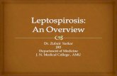 Leptospirosis : An Overview