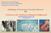 pathology of Parasitic diseases