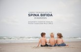 Current problems with the spina bifida diagnosis