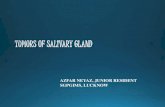 Tumors of salivary gland