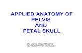Applied anatomy of pelvis and fetal skull