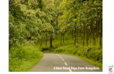 Best Road Trips from Bangalore