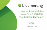 How to Start and Run Your First $100,000 Fundraising Campaign